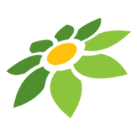 CARI SPINTERUS